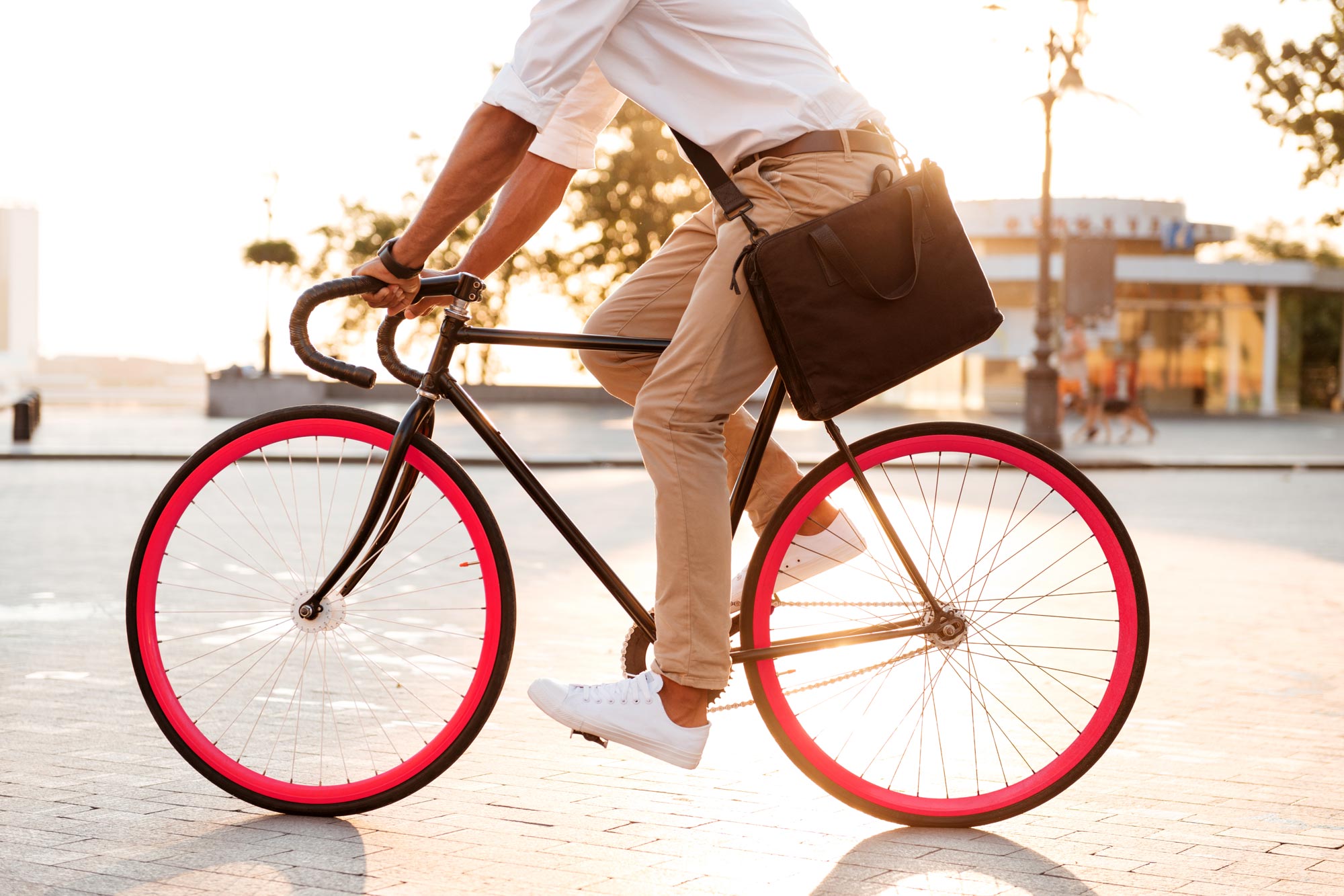 theBIKEnet